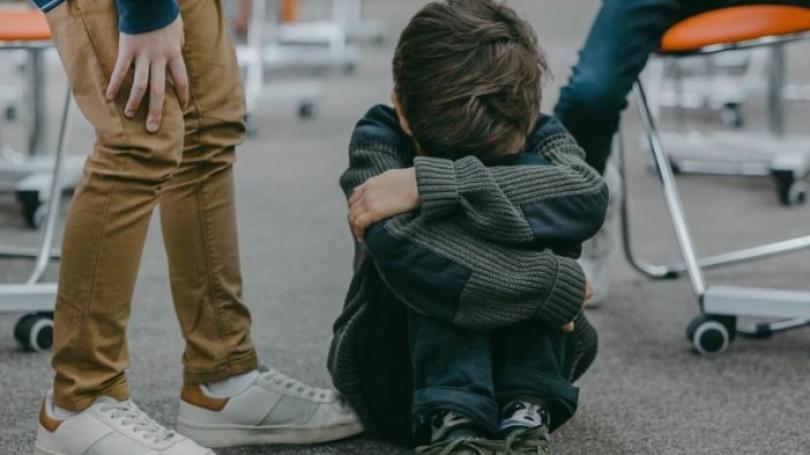 DOC// Două milioane de lei pentru prevenirea bullying-ului școlar. Ministerul Educației vrea să instruiască peste 2000 de profesori