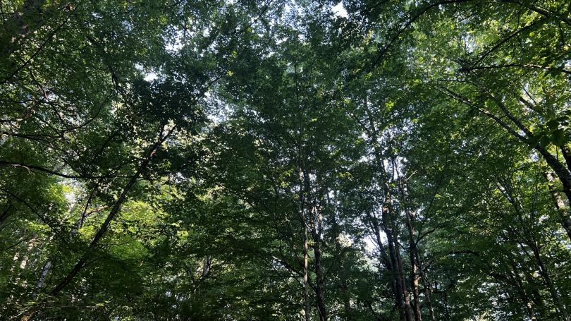 posts/2026/06/17/14248810455__09-40-09__810x455.jpeg