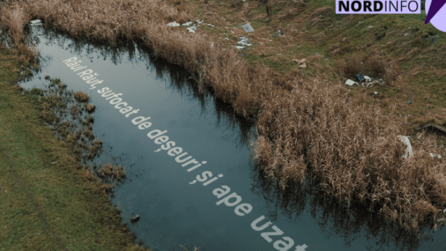 posts/2026/06/15/nc__13-45-35__810x455.png