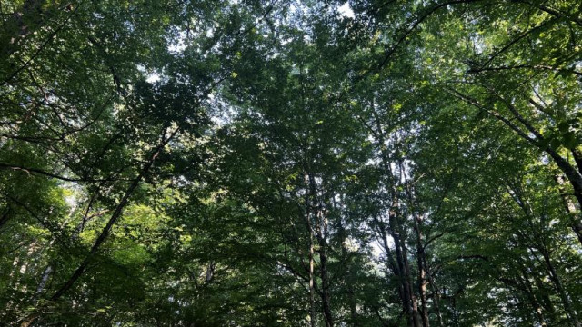 posts/2026/06/17/14248810455__09-40-09__810x455.jpeg