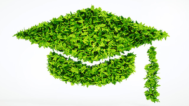 posts/2026/06/30/030426-green__16-08-24__814x364.jpg