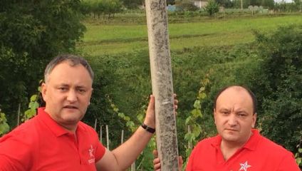 posts/2026/07/23/dodon-alexandruigor__07-32-03__640x480.jpg