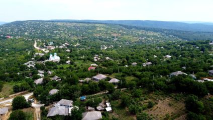 posts/2026/07/26/radenii-vechi-unghnei-5__15-57-18__1440x810.jpg
