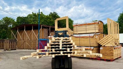 Producător de paleți acuză o schemă cu lemn tăiat ilegal și cere intervenția premierului: "Concurez cu firme care își iau materia primă din pădure tăiată ilegal"
